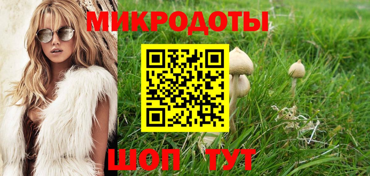 Ивантеевка  Галлюциногенные грибы MAGIC MUSHROOMS  Вход с VPN 