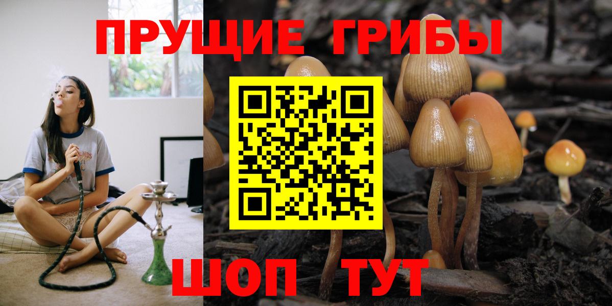 Галлюциногенные грибы GOLDEN TEACHER Ивантеевка